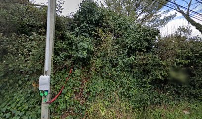 Molteno Daniel, Maçon à Auriol