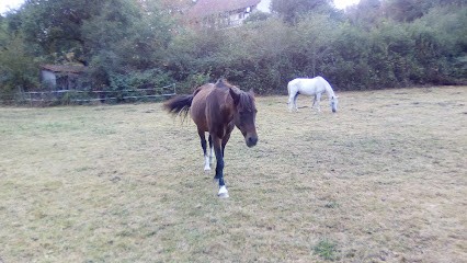 Moncelon Jean-Noël, Maçon à Saint-Éloy-les-Mines