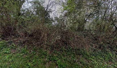 Thbp, Maçon à Mions