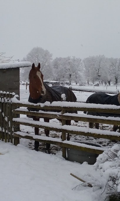 Pécheral Pascal Entreprise, Maçon à Uzay-le-Venon
