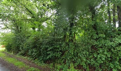 Irvillac Services SARL, Maçon à Irvillac