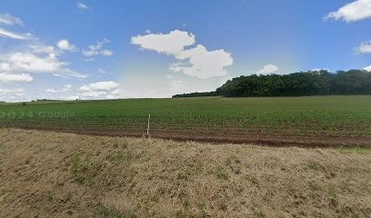 Yves Girardet Sarl, Maçon à Étalante