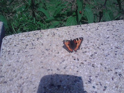 Maçonnerie SALVI Pierre, Maçon à Maîche