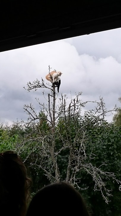 CRB Morat, Maçon à Saâcy-sur-Marne