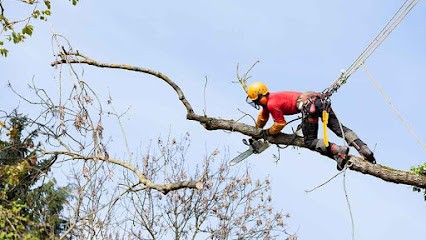 FRANCKY SERVICE, Maçon à Cagnes-sur-Mer