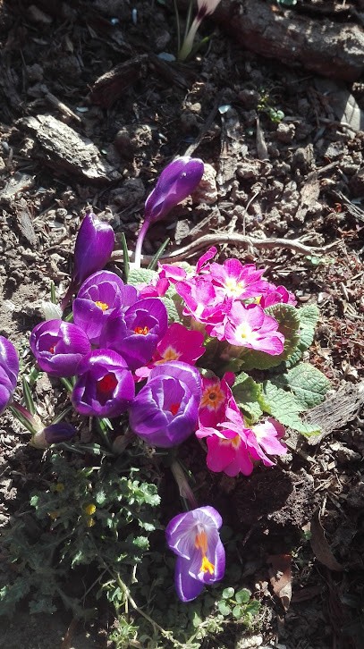 Pereira Celso, Maçon à Mesnil-en-Ouche