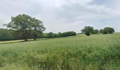 Lassot Batiment T.p, Maçon à Saint-Léger-sur-Vouzance