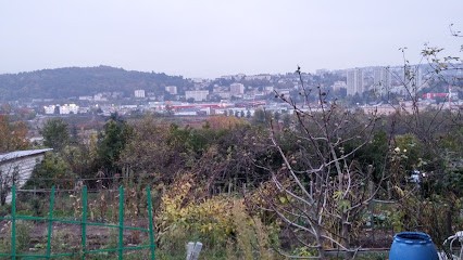 Veyre Maçonnerie, Maçon à Saint-Jean-Bonnefonds