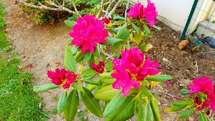 Jacques Francès - Entreprise De Maçonnerie, Maçon à Riec-sur-Bélon