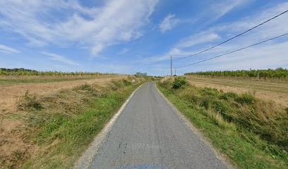 Tyler Mark, Maçon à Saint-Quentin-de-Caplong