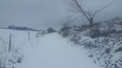Page Philippe, Maçon à Saint-Just-près-Brioude