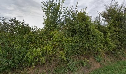 R C Maçonnerie Sarl, Maçon à Segré-en-Anjou Bleu