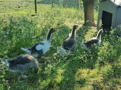 Tellier David, Maçon à Croisette