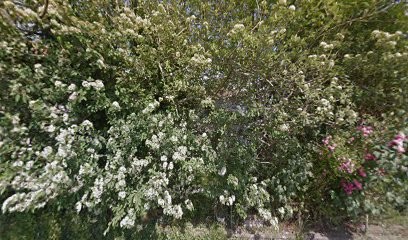 Atelier Du Bâti Ancien, Maçon à Came