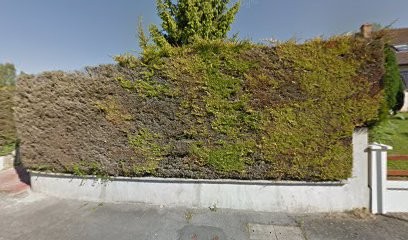 Salmon Patrick, Maçon à Verdilly