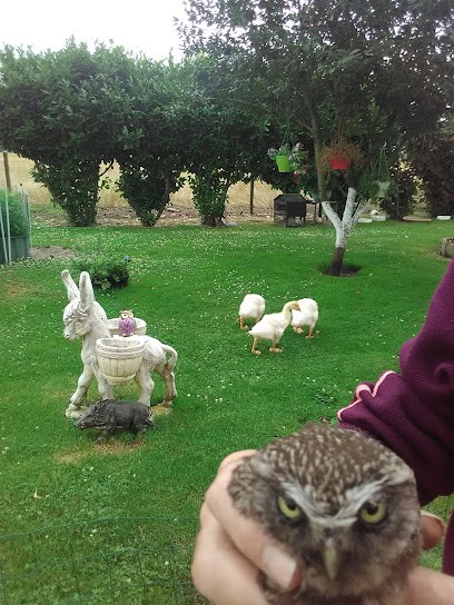 Léglises Maçonnerie, Maçon à Hure