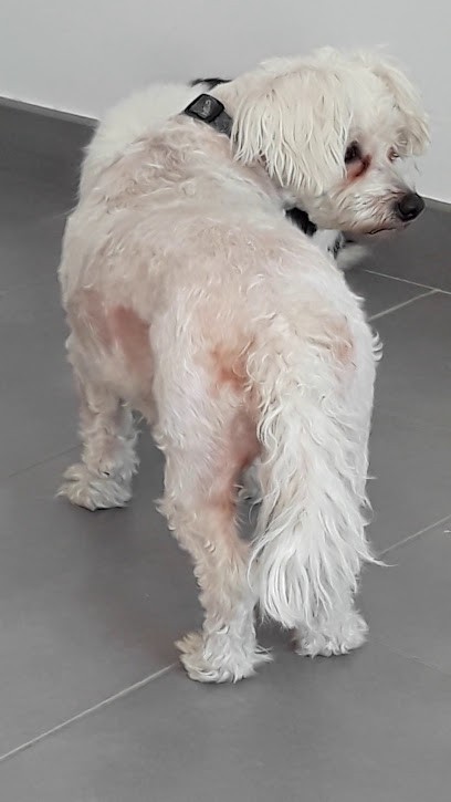 Sologne Beton Design, Maçon à Romorantin-Lanthenay