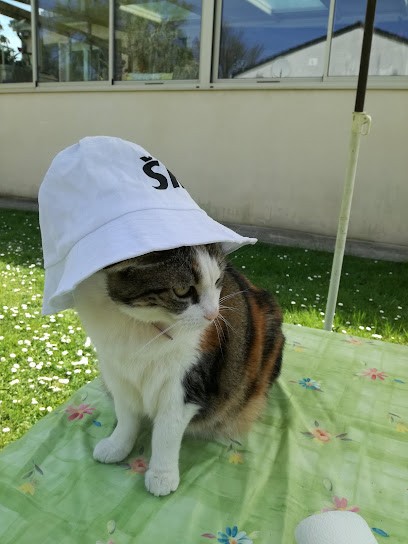 Pinto Anthony, Maçon à Ézy-sur-Eure