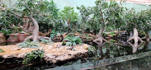 Bulteau Patrick, Maçon à Talmont-Saint-Hilaire