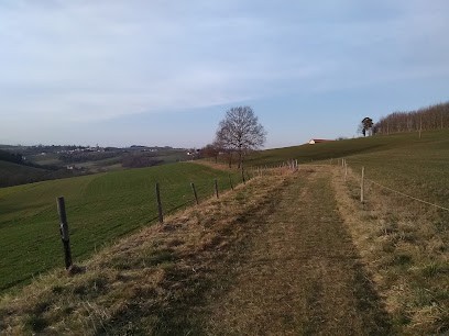 Charbonnier Dominique, Maçon à Virigneux