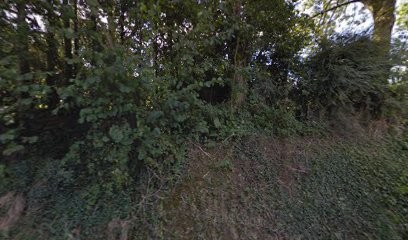 N2L MACONNERIE, Maçon à Saint-Georges-du-Vièvre