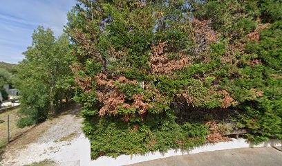 Thibault Franck, Maçon à Paziols