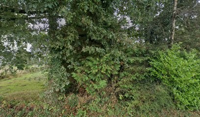 MPCM HABITAT, Maçon à Colpo