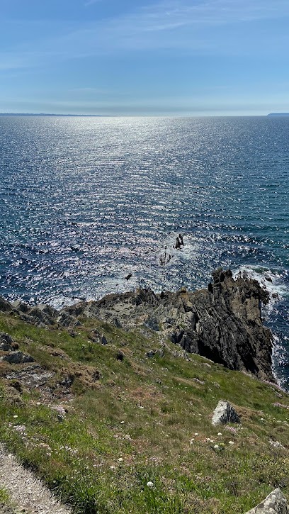 CYRIL JACQUEMINET, MAÇONNERIE GÉNÉRALE, Maçon à Cléden-Cap-Sizun