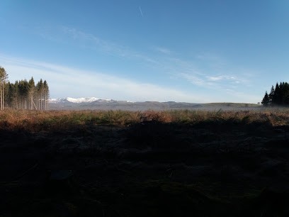 Miquelino Serge, Maçon à Pierrefort