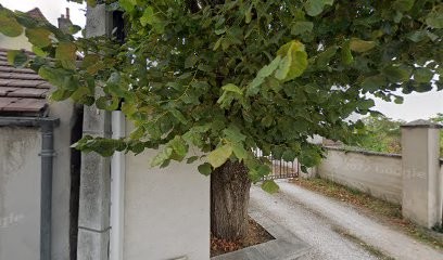 TODESCO SAS, Maçon à Dijon