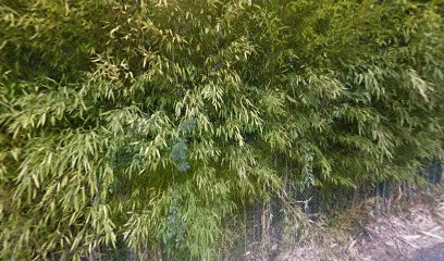 Les Batisseurs de Vence, Maçon à Vence