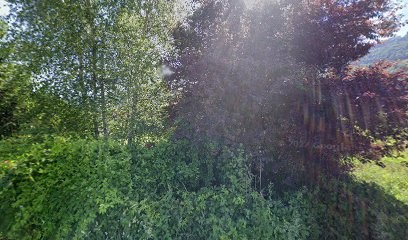 M.E.S Rénovation, Maçon à Froges