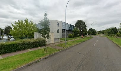 Hercee, Maçon à Dijon