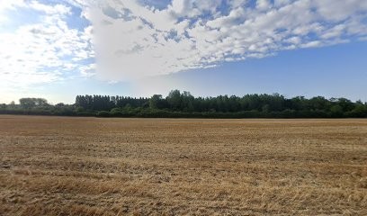 Plée Constructions, Maçon à Chanceaux-sur-Choisille