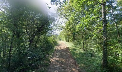 Jouffre Et Fils, Maçon à Saint-Germain-des-Prés