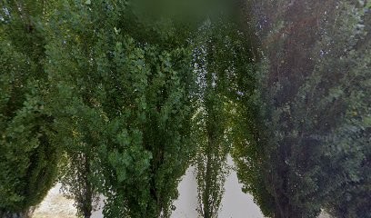 Jenvrin Sarl, Maçon à Saint-Mard-de-Vaux