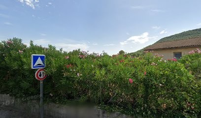 Pastor Maçonnerie, Maçon à Saint-Hippolyte-du-Fort