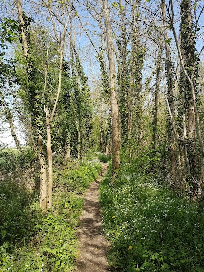 Ravary Jacques, Maçon à Moulay