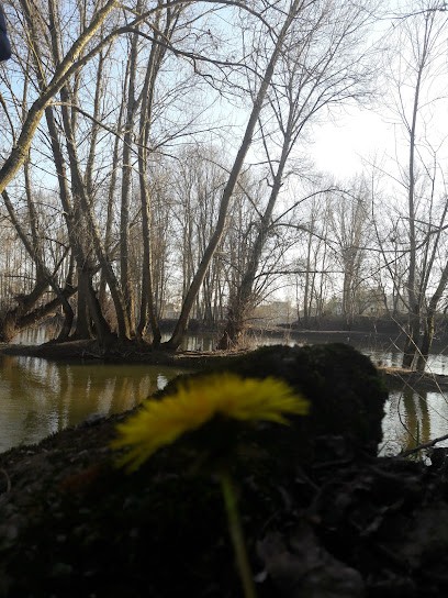 G.T.P.N Génie Travaux Publics Négoce, Maçon à Salbris