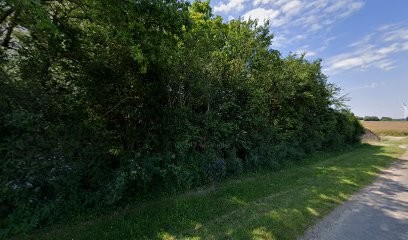 Sas Baranton, Maçon à Trancrainville