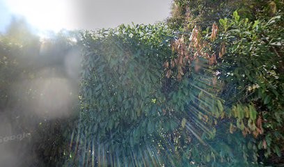 LOPES PERE ET FILS, Maçon à Oraison