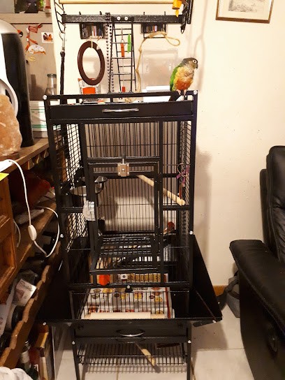 Rouget Andre, Maçon à Saint-Bonnet-en-Bresse