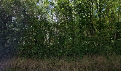 Drillet et Fils, Maçon à Saint-Pair-sur-Mer