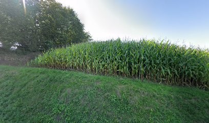 Levardon Thierry, Maçon à Chaulieu