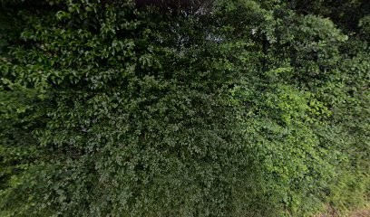 SARL Janczarek.R, Maçon à Luc-la-Primaube