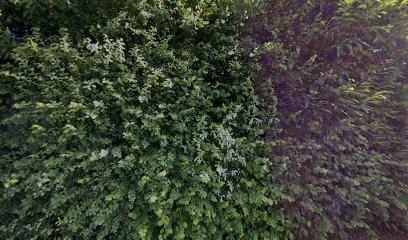 Lunel-Lefrancois, Maçon à Val de Drôme