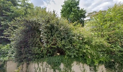 Gadessaud Thierry, Maçon à Saint-Pierre-d'Eyraud