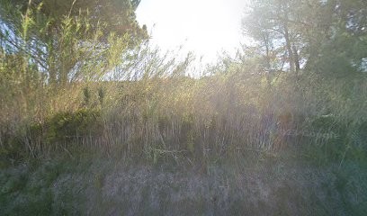 ENTREPRISE BAPTISTE CONSTRUCTION Plaquiste Maçonnerie Genérale Plomberie Électricité Pose Placo 13 Martigues Istres Miramas, Maçon à Saint-Mitre-les-Remparts