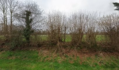 Steunou Pascal, Maçon à Trégonneau