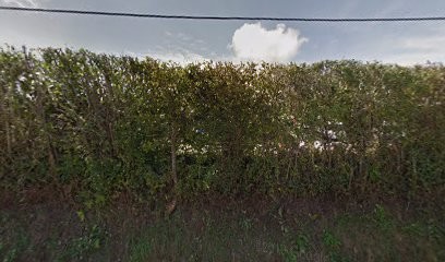 David Sylvain, Maçon à Montsenelle